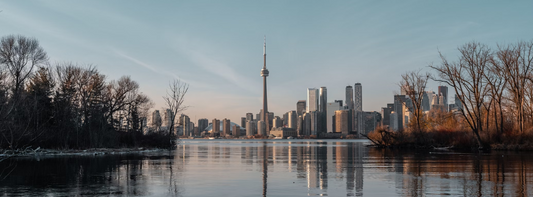 How Do You Get a Provincial Nomination in Ontario?