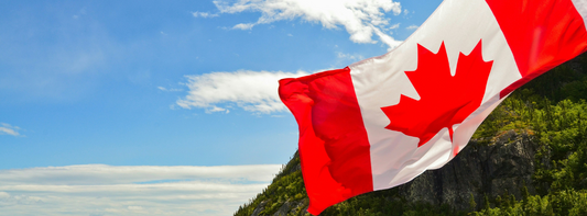 Everything You Need to Know About Provincial Nominee Program (PNP) BC Requirements
