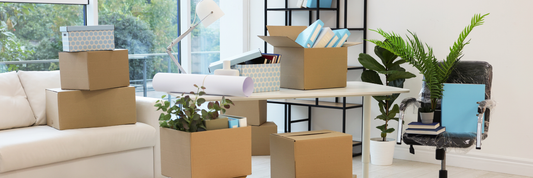 New Apartment Furniture Essentials: A Budget-Friendly Checklist That Actually Works