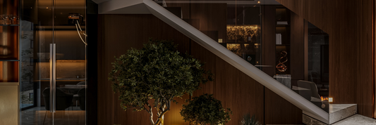 Townhouse vs Duplex: A Smart Investment Guide for North American Buyers