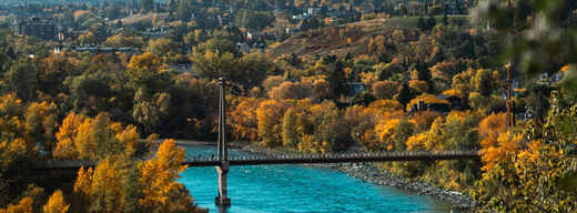Best Vacation Rentals in Calgary, Alberta, Canada: Top Stays for Every Traveler